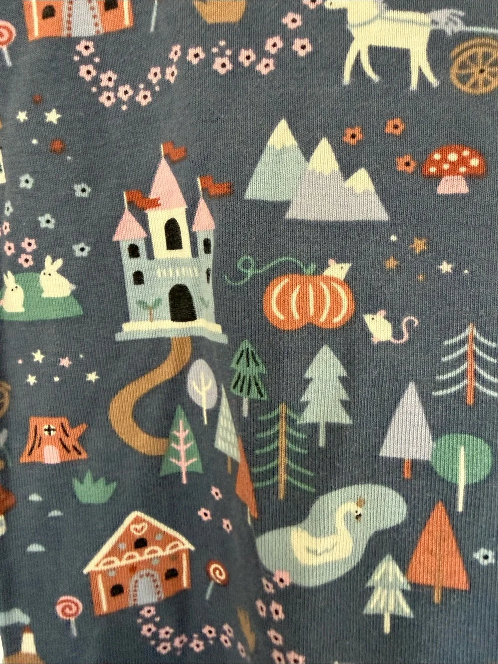 Hanna Andersson 2T Kids Fairytale Print Long Sleeve set- top and bottom